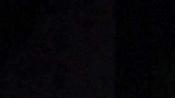 Stephanie Salas y Humberto Zurita