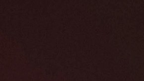 Verónica del Castillo