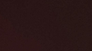 Verónica del Castillo