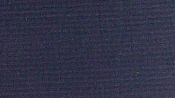 Paulina Goto y Rodrigo Saval