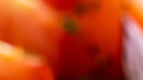 Pescado en dieta mediterránea