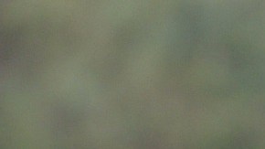 Idaho ejecutaría a los presos condenados mediante un pelotón de fusilamiento.