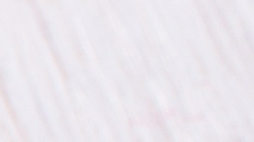 tortilla-expiracion-restaurante