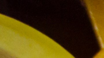 tyson-foods-despidos