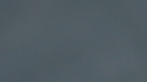 1-centavo-coleccionista