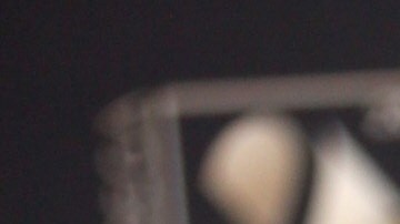 La dominicana Clarissa Molina sigue sumando éxitos a su carrera profesional.