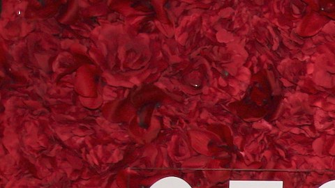 La actriz Aylín Mujica dejó poco a la imaginación de sus fanáticos.