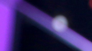 Chiquinquirá Delgado.