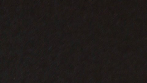 Hace pocos días Adamari López dejó de trabajar en Telemundo.