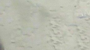 La actriz Maribel Guardia perdió a su único hijo el pasado 9 de abril.