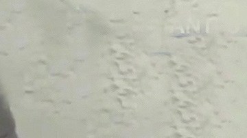 La actriz Maribel Guardia perdió a su hijo el pasado 9 de abril.