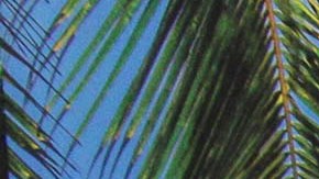 Eugenio Derbez presenta junto con su esposa Alessandra Rosaldo y sus hijos Aislinn Derbez, José Eduardo Derbez y Vadhir Derbez la nueva temporada de "De Viaje con los Derbez - Jamaica"