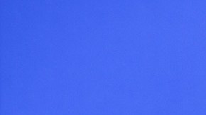 La conductora Francisca se quitó sus extensiones para seguir luciendo su afro.