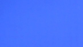 La conductora Francisca no deja de sorprender con los peinados que se hace.