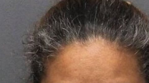 Wanda Veguilla y John Torres.