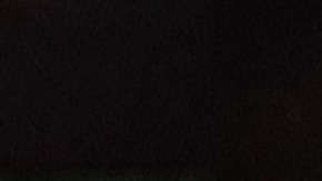 Nuevas reglas anti roedores en NYC.