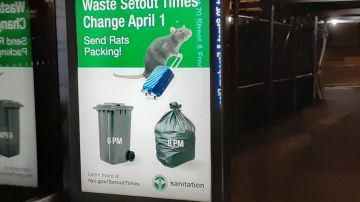 Nuevas reglas anti roedores en NYC.