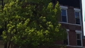 Persona mayor caminando en NYC.