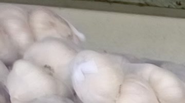 Algunas consultas confirman que en algunas comunidades hispanas el acceso a comida fresca es limitado.