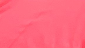 Make the Road NY presentó su plataforma "Dignidad, comunidad y poder" para exigir no ignorar a comunidades en el presupuesto