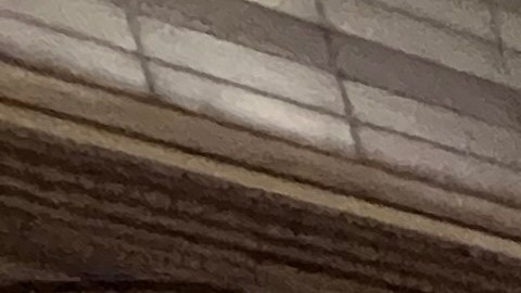 Urgen a Albany ayudar a la MTA en crisis financiera para no afectar precio y servicio del metro