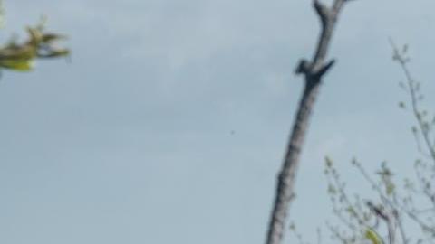 El jefe del grupo paramilitar ruso Wagner, Yevgueni Prigozhin, afirmó que sus tropas que luchan en Bajmut no tomarán más prisioneros ucranianos.