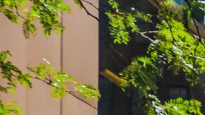 Continúa el programa de calles abiertas de verano.