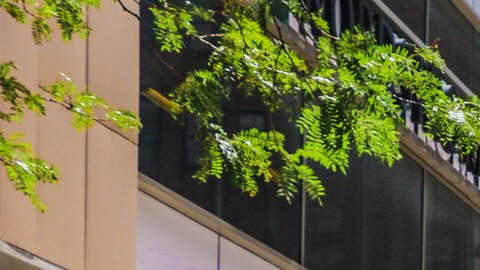 Continúa el programa de calles abiertas de verano.