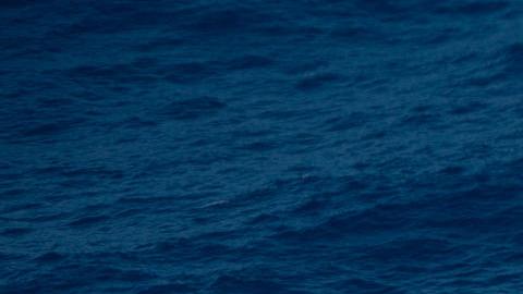 El barco de MSF rescata a 440 migrantes en peligro en el Mediterráneo central.