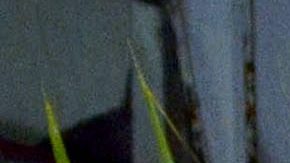 La viuda de Julián Figueroa fue duramente criticada.