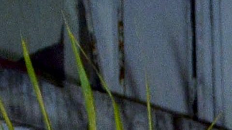 La viuda de Julián Figueroa fue duramente criticada.