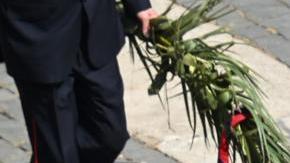 Pope Francis celebrates the Holy Mass of Palm Sunday