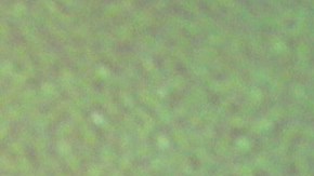 La mexicana Penélope Menchaca es criticada en las redes sociales.