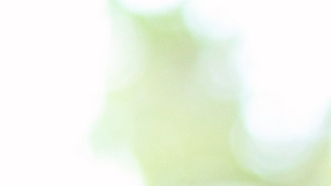 Un migrante se cose la boca durante una protesta en Chiapas.