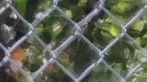 Olivia Wilde y Jason Sudeikis.