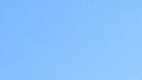 Trofeo de la UEFA Champions League.