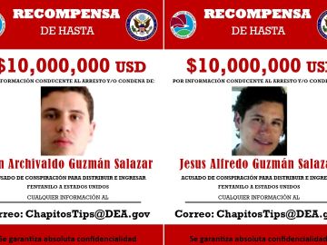 La DEA aumentó la recompensa por la captura y condena de "Los Chapitos".