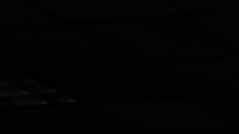 Lotería, jugadores en NYC