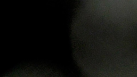 Karl Roberson podría pasar hasta 10 años en prisión de ser hallado culpable.