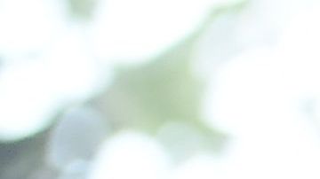 Celine Dion construyó esta casa en 2002.