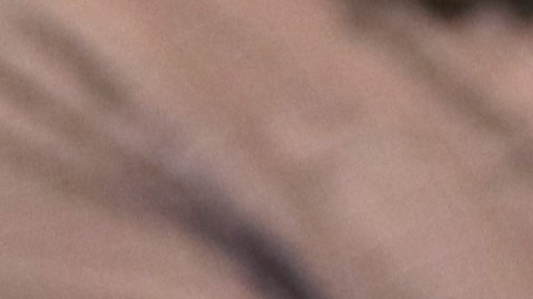 Julie Chávez Rodríguez: una veterana de la política presidencial en EE.UU. al frente del comando de campaña de Biden 2024