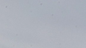 El descubrimiento del hueso lo realizó un equipo de investigadores de la Universidad de Buffalo