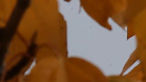 Matanuska Glacier In Alaska Serves As Hiking Destination Near City Of Anchorage