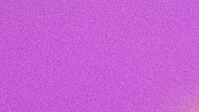 Tsai Ing-wen Campaigns as Taiwan Election Approaches