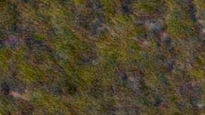 Vista aérea de Ponce, Puerto Rico