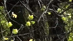 Daily Life In New York City Amid Coronavirus Outbreak