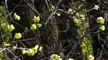 Daily Life In New York City Amid Coronavirus Outbreak