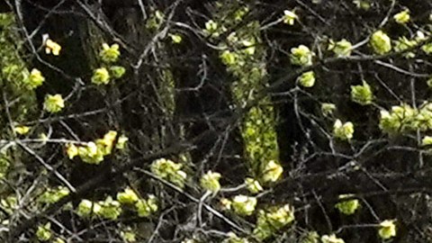 Daily Life In New York City Amid Coronavirus Outbreak