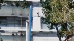 Alrededor de 15,000 e-scooters de alquiler podrían desaparecer del centro de París a fines de agosto