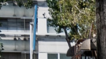 Alrededor de 15,000 e-scooters de alquiler podrían desaparecer del centro de París a fines de agosto